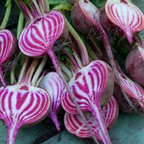 Beetroot - Baby Candy