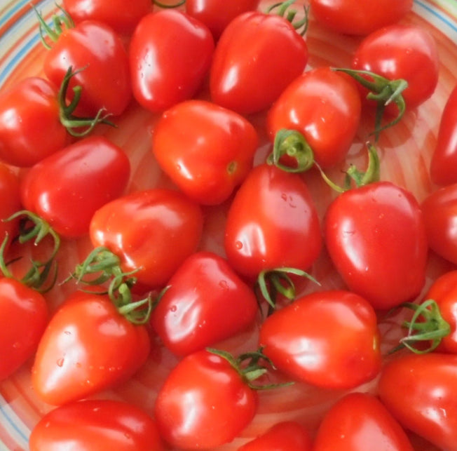 Tomatoes - Cocktail / Strawberrie