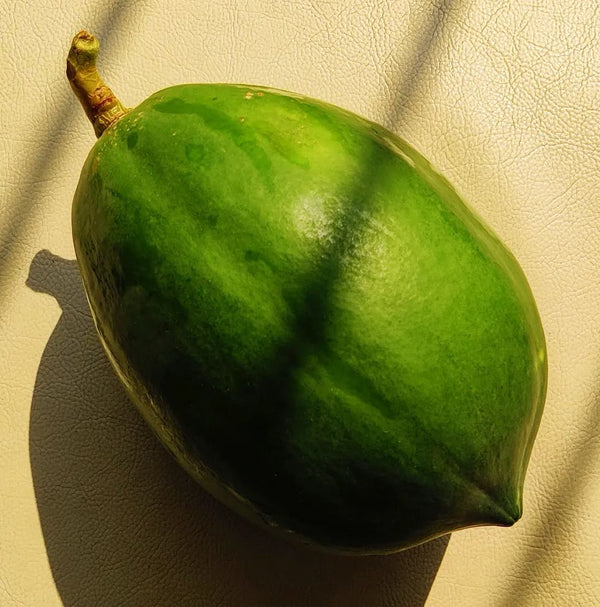 Raw Papaya