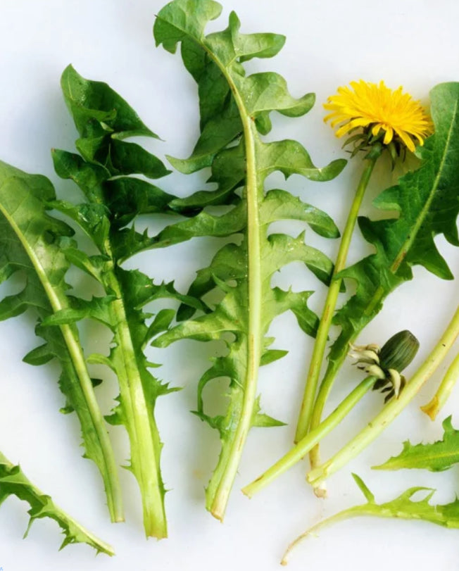 Pissenlit Salad