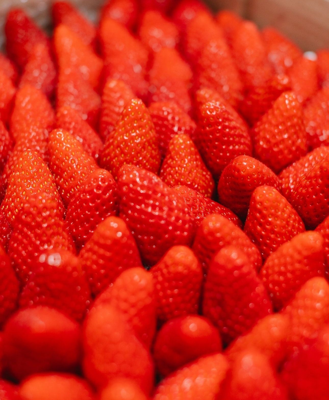 Strawberry Gariguette