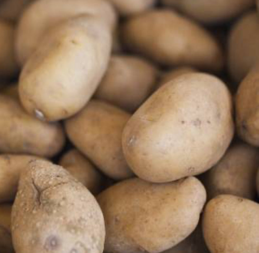 Potatoes - Bintje