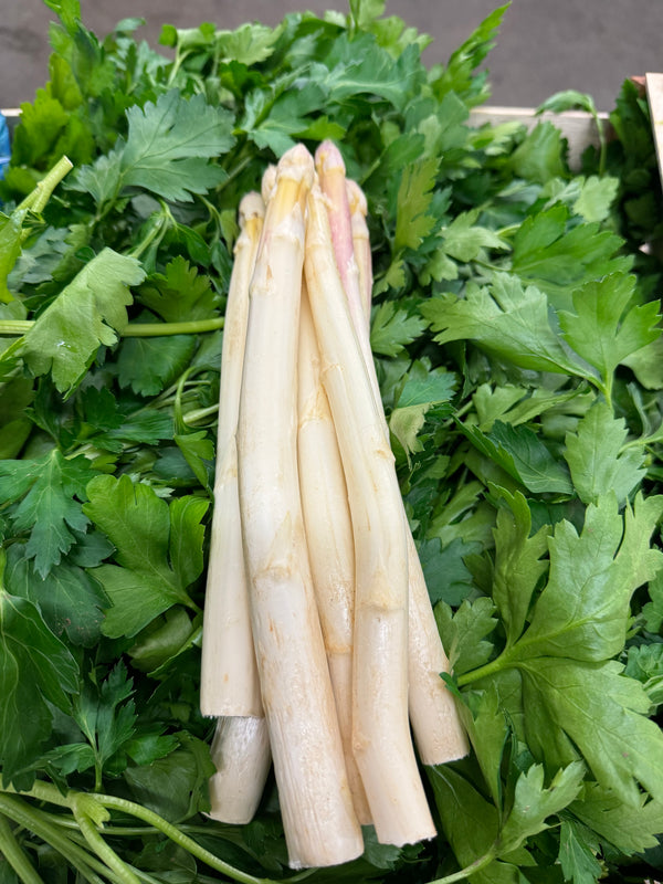 Asparagus - White