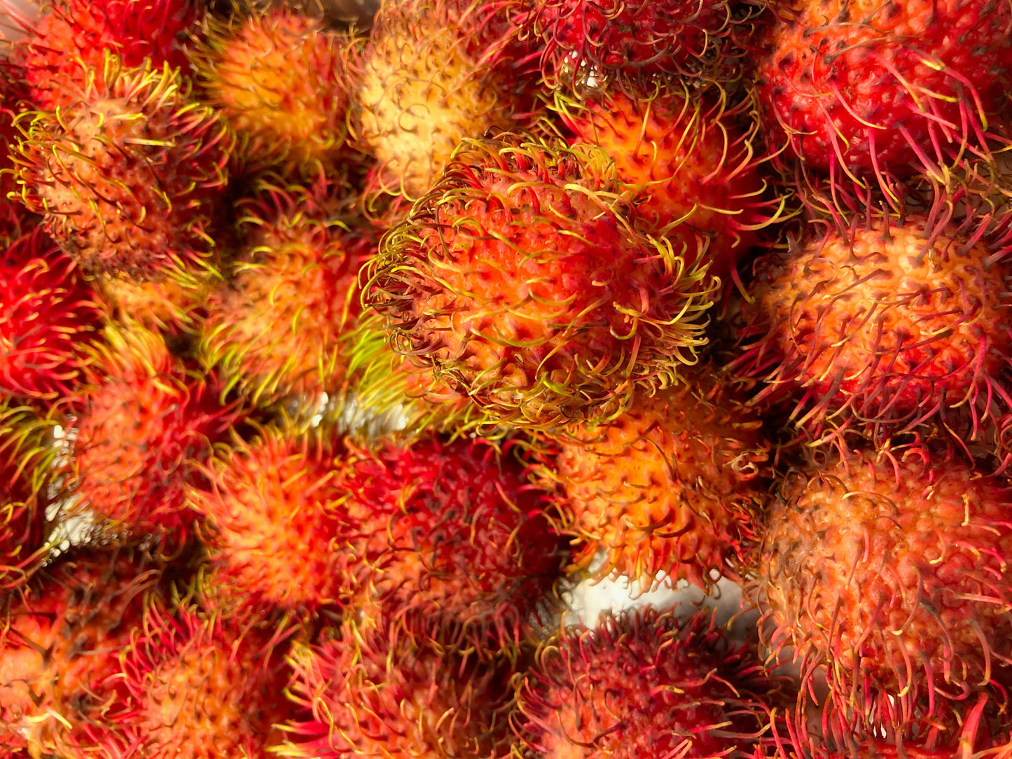 Rambutans