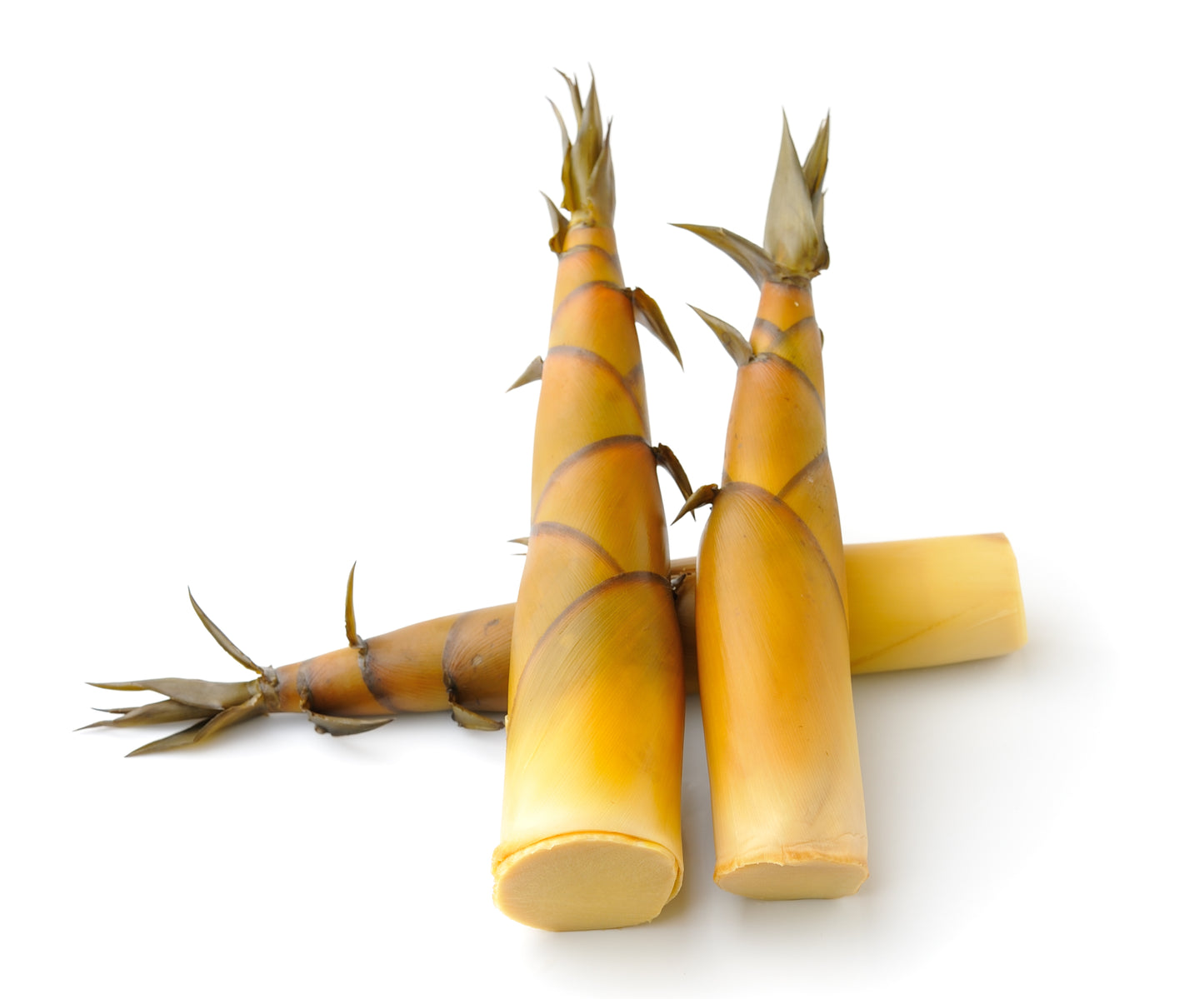 Bamboo Shoots