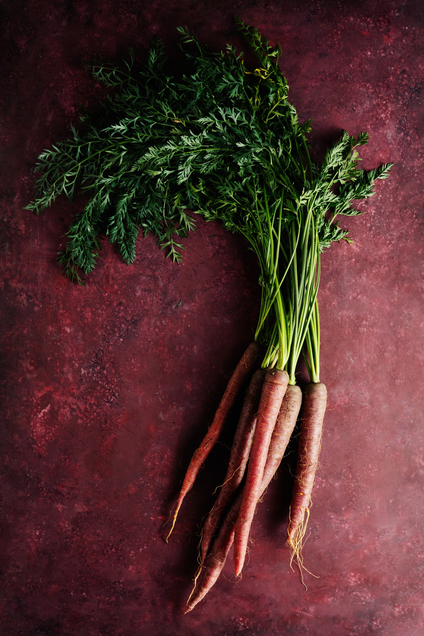 Indian Carrot