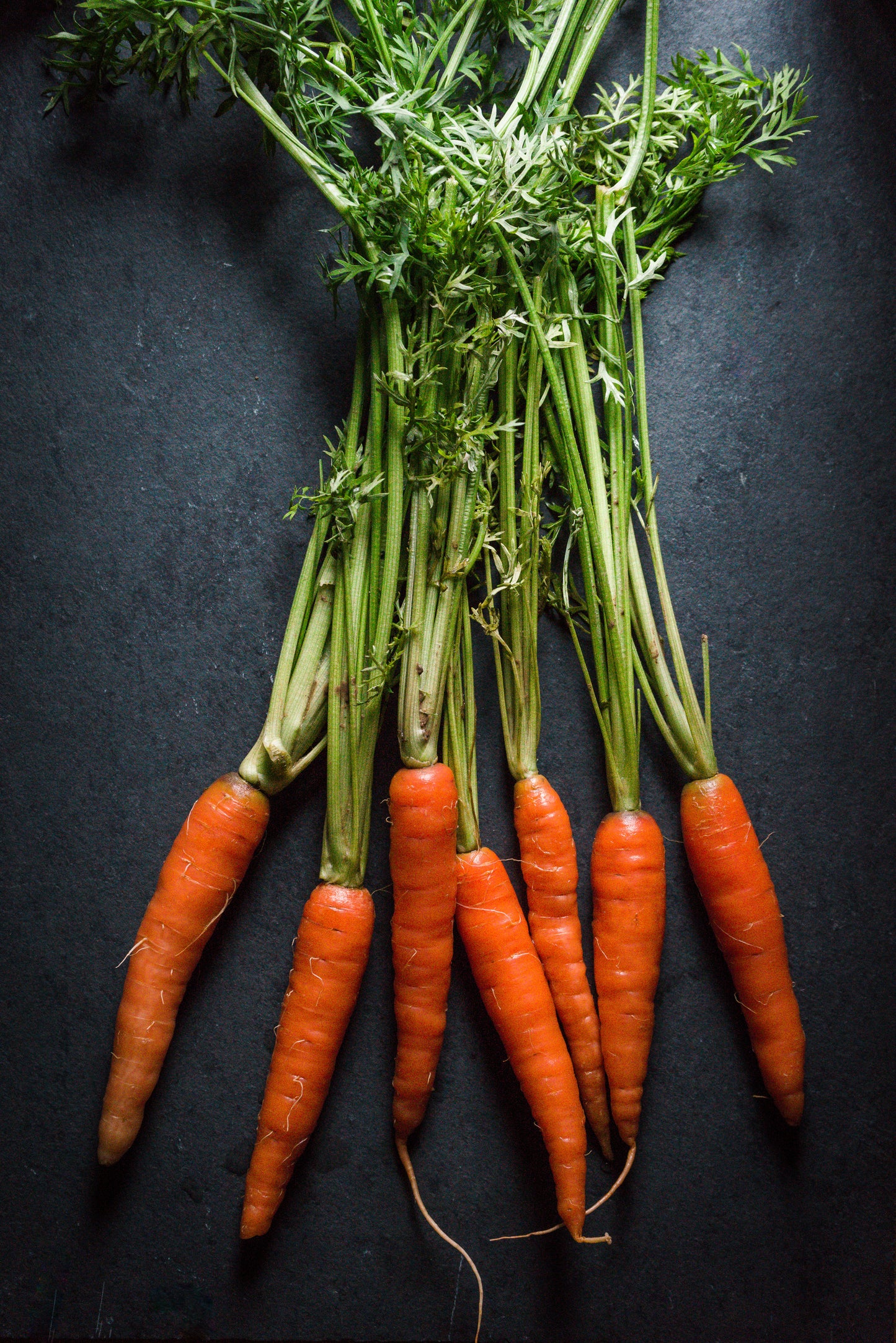Frozen - Baby Carrots