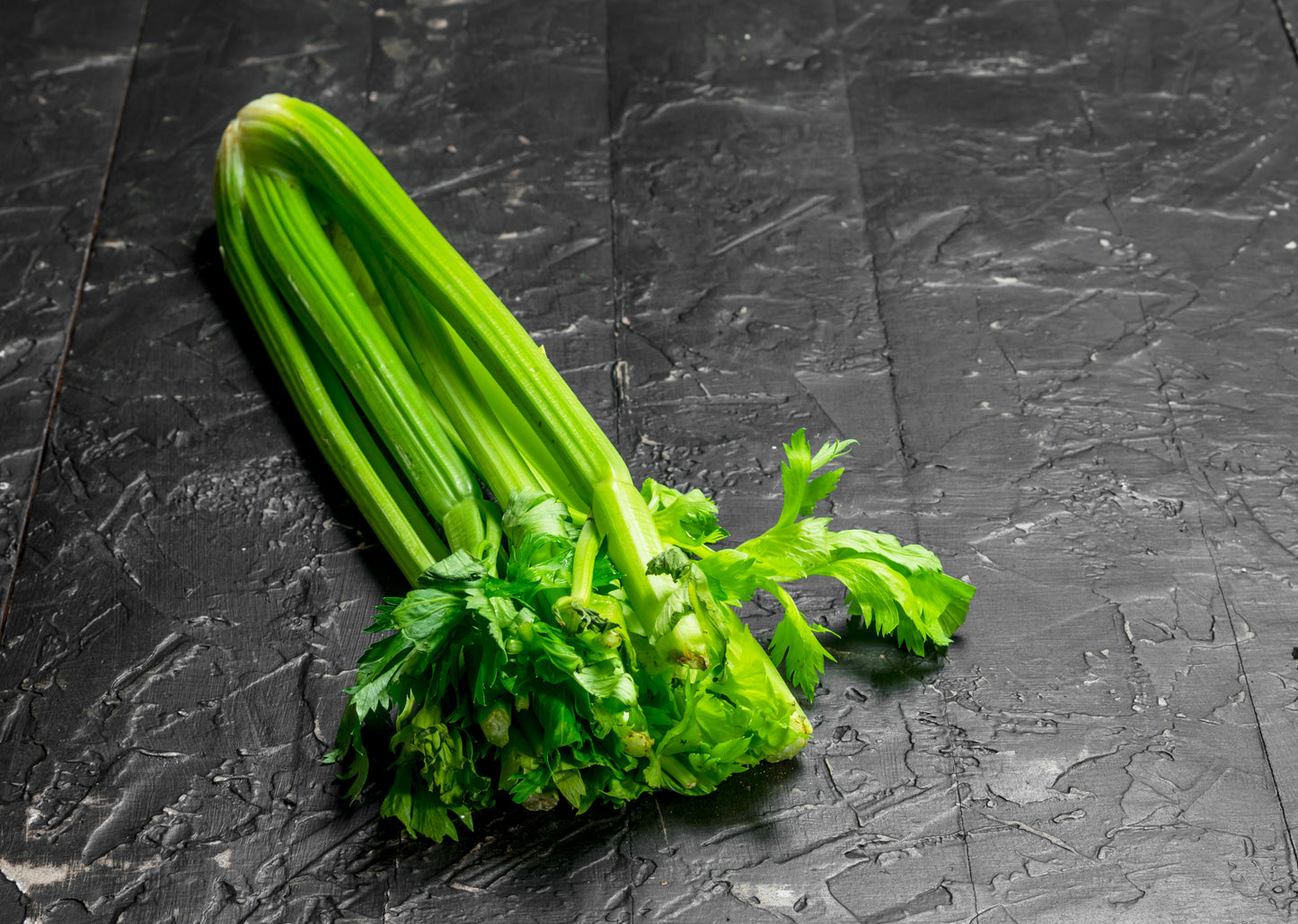 Celery with leaf