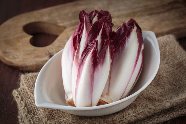 Chicory - Red