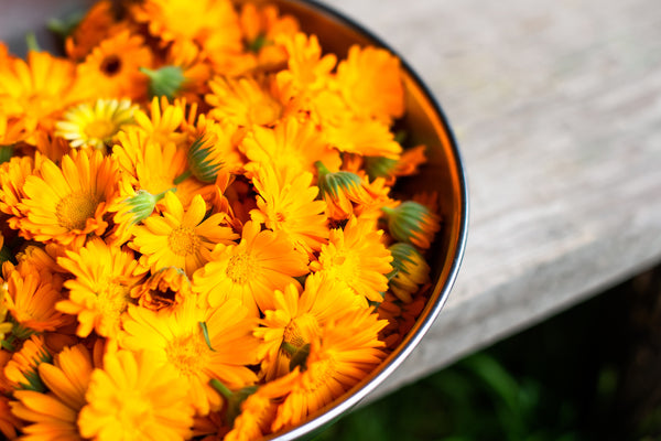 Flowers Edible - Marigold