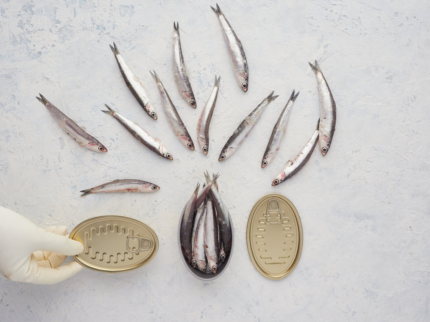 Anchovies