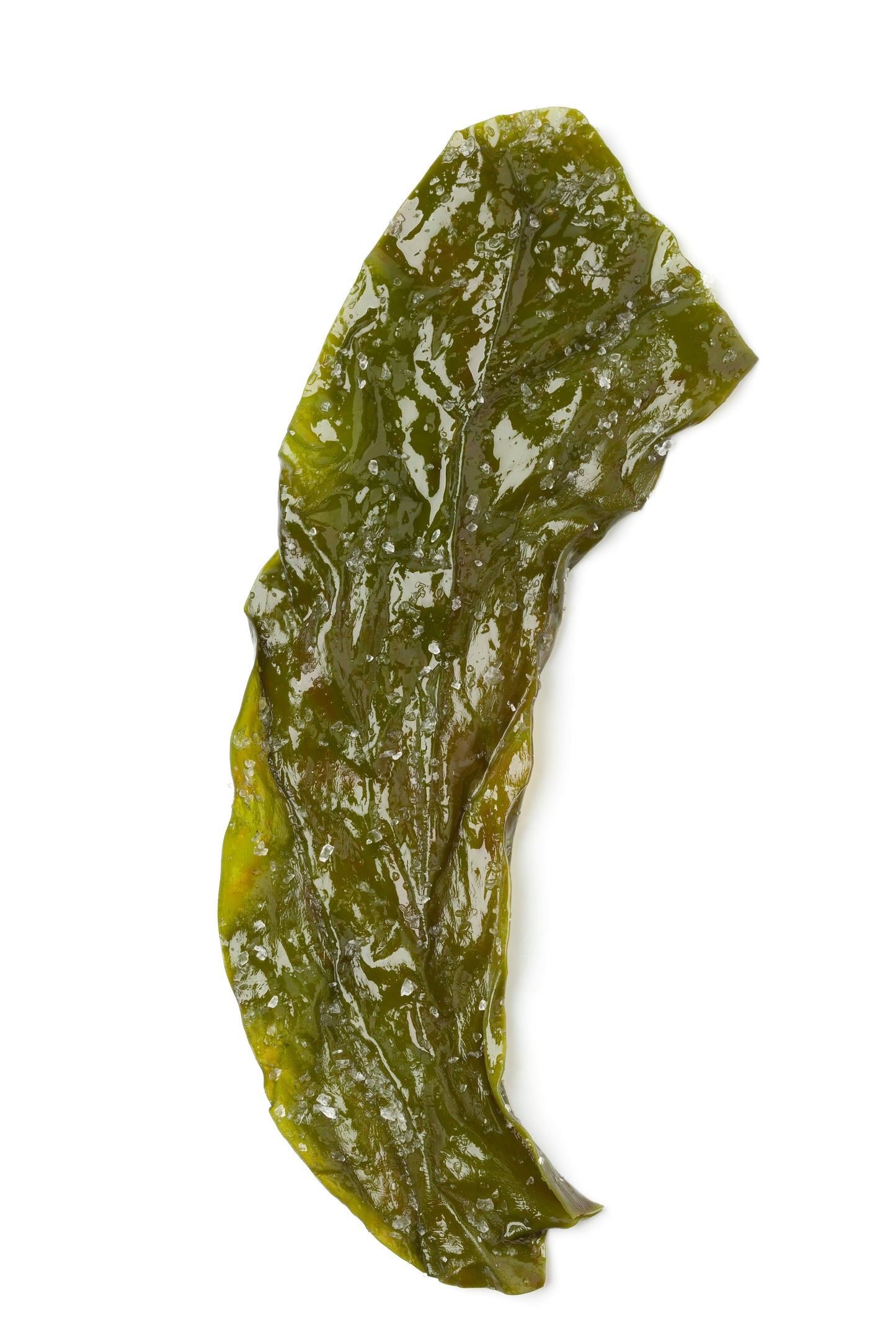 Micro Seaweed
