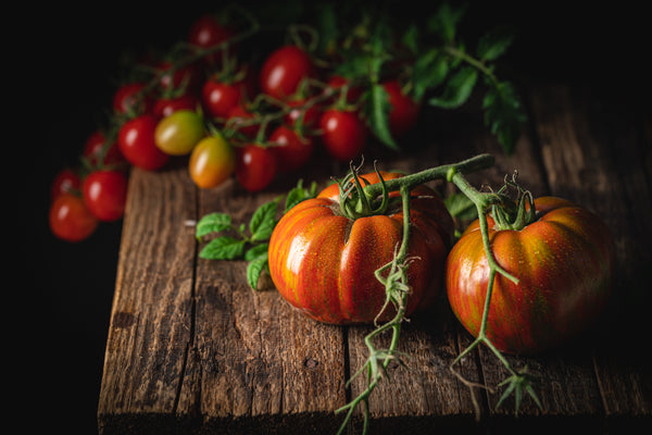Tomatoes - Merinda
