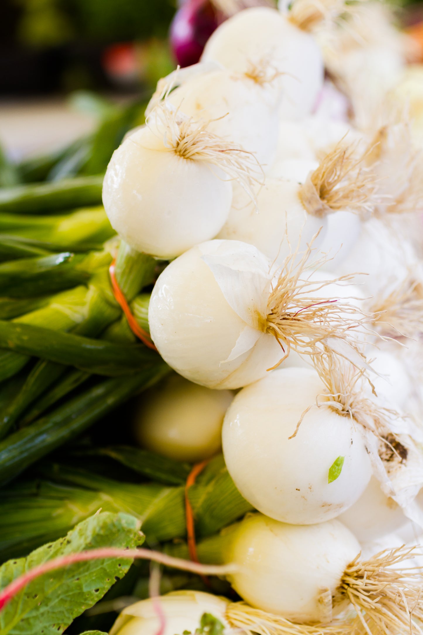 Onions - White