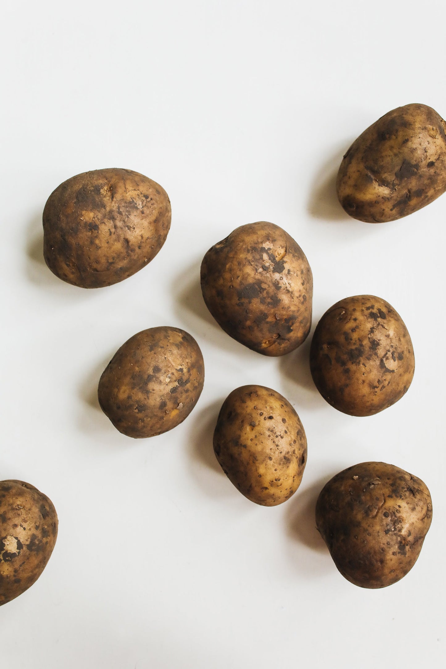 Potatoes - Maris Piper