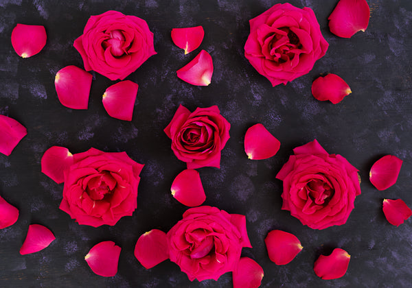 Edible Rose Petals
