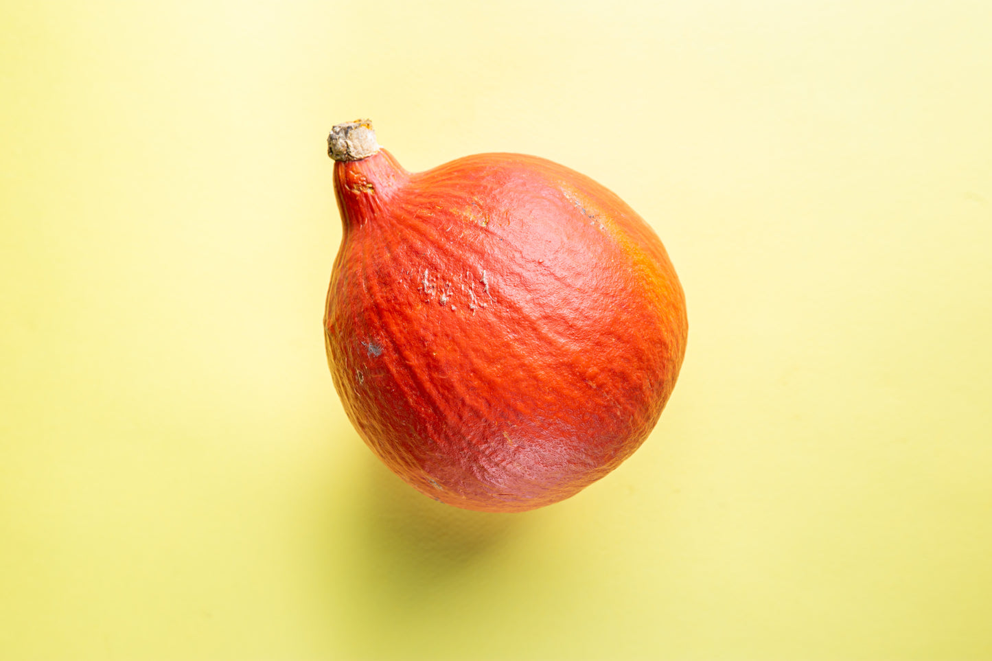 Squash - Onion