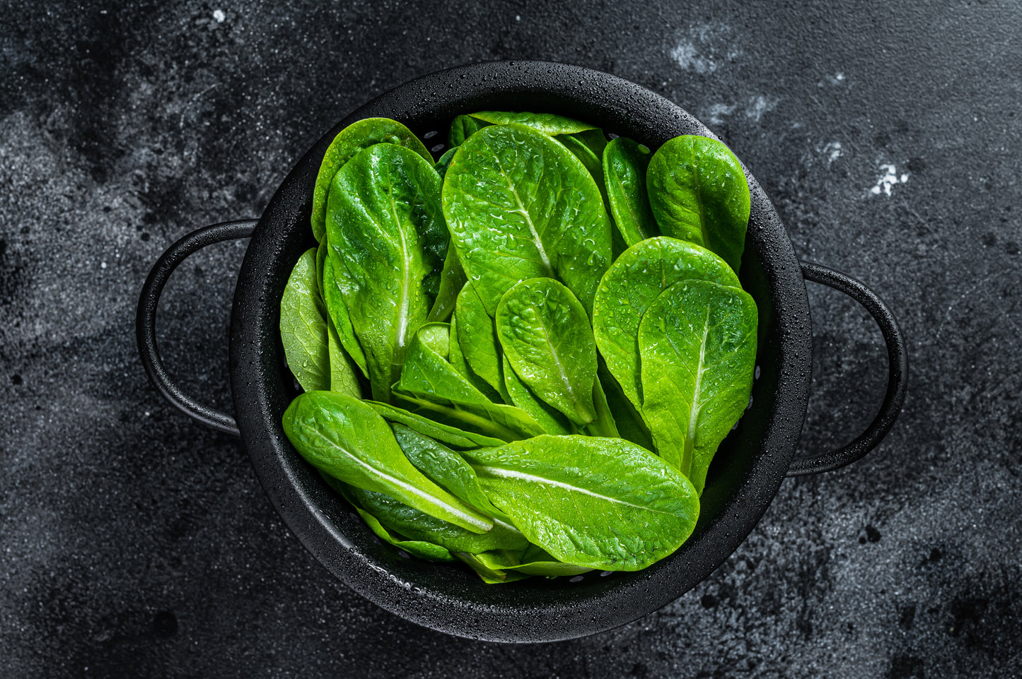 Frozen - Bonduelle Spinach Leaf