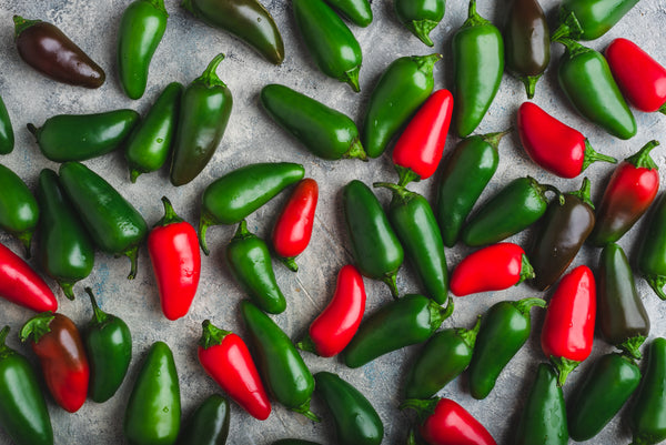 Chillies - Jalapeno Red