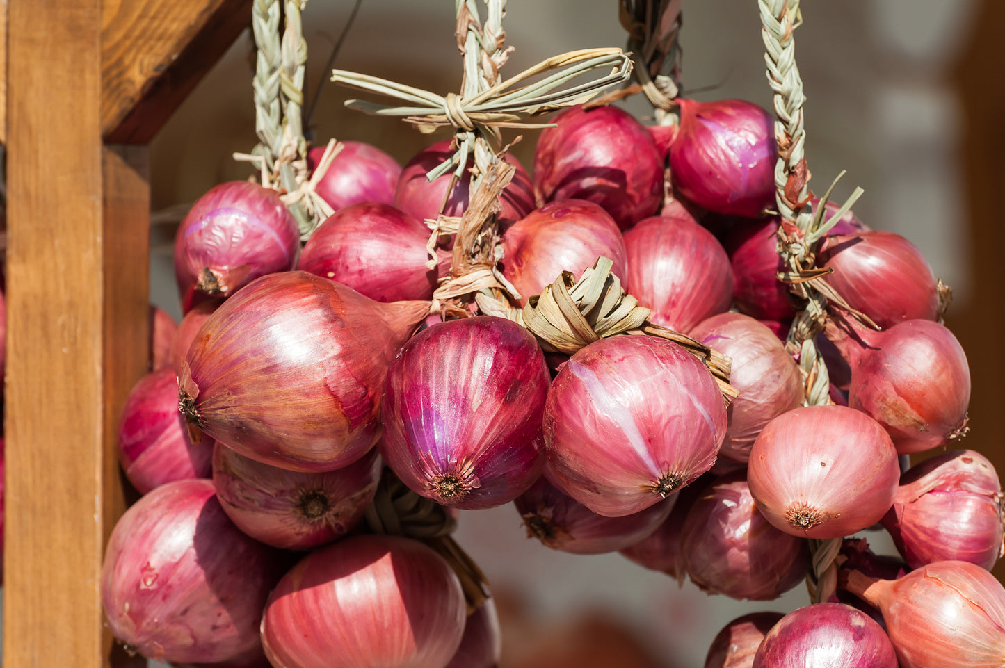 Dry Tropea Onion Strings