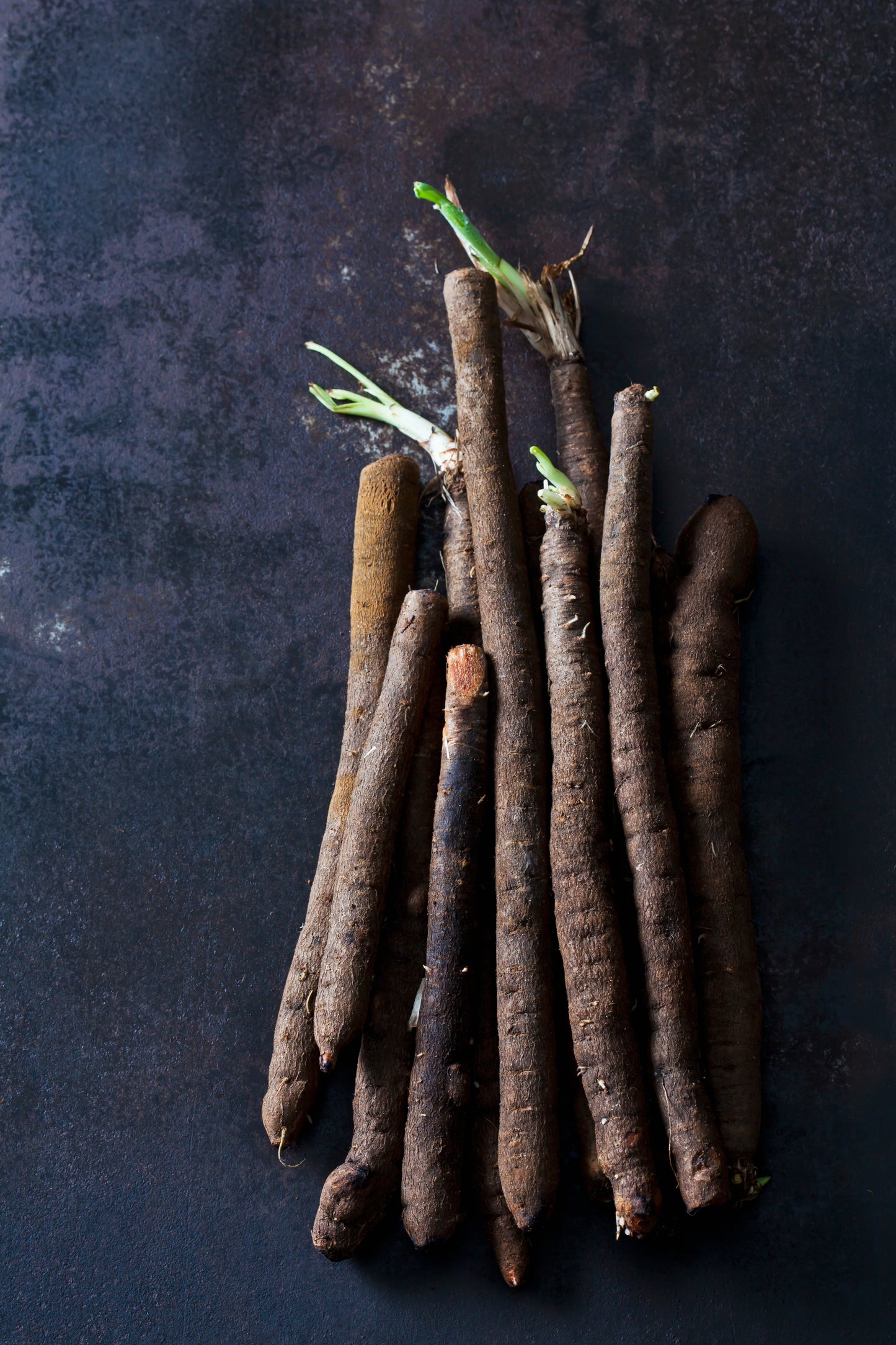 Salsify