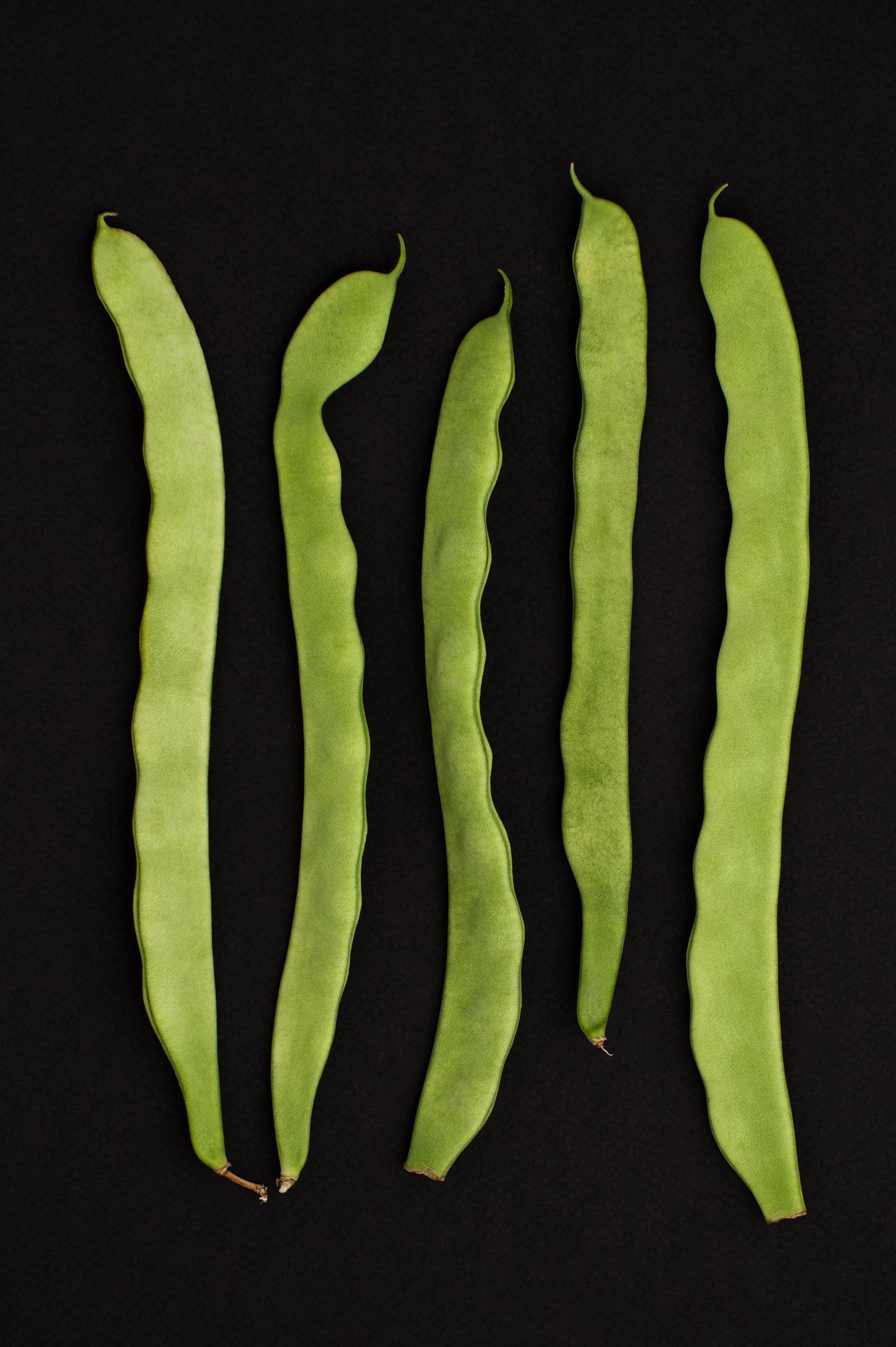 Beans Helda flat