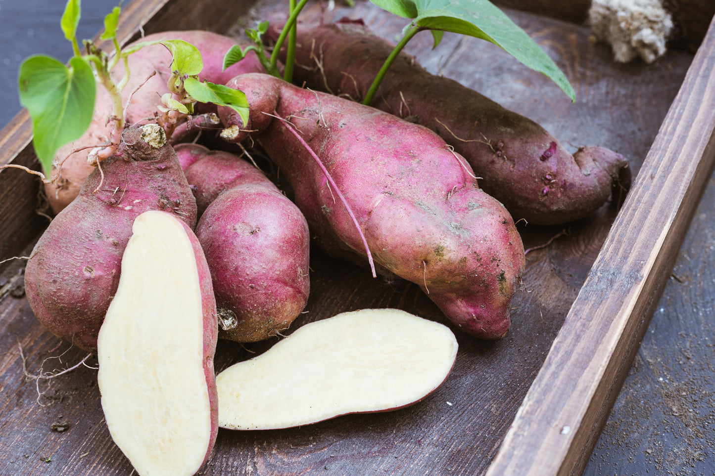 White Sweet Potato