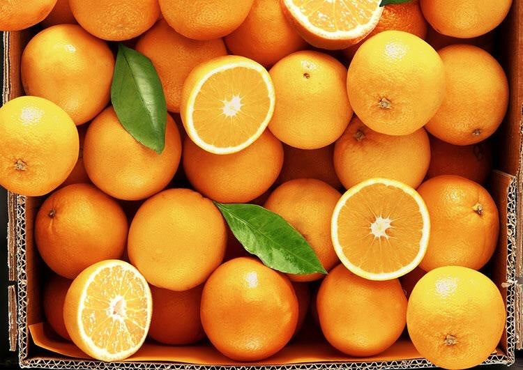 Oranges - Large
