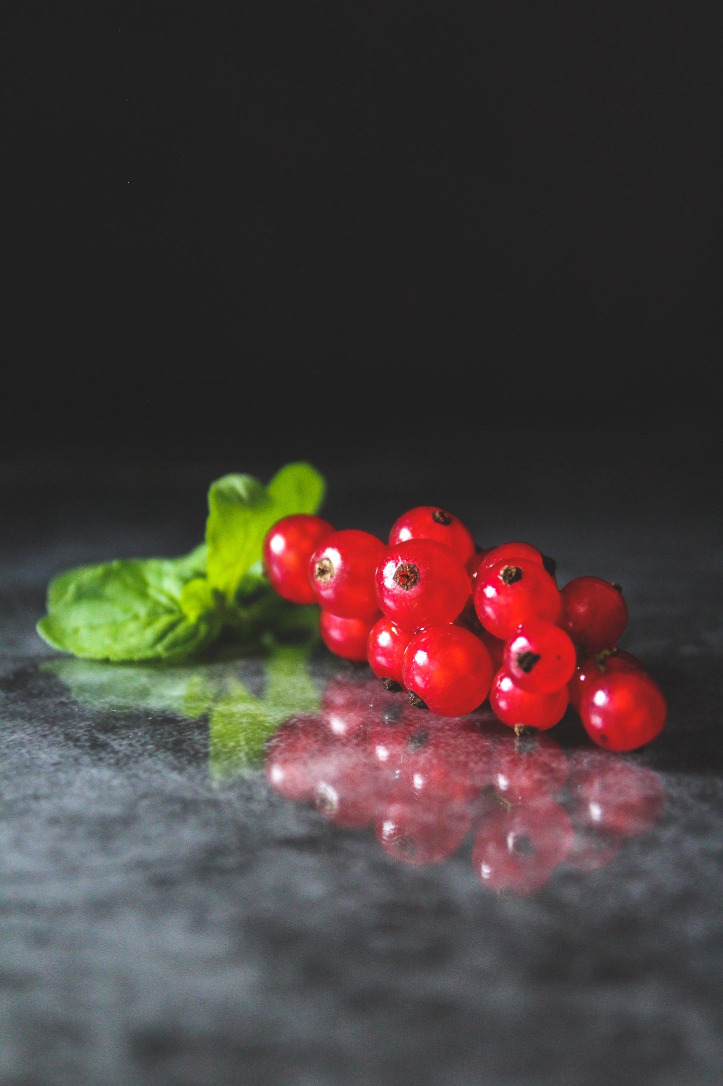 Currants - Red
