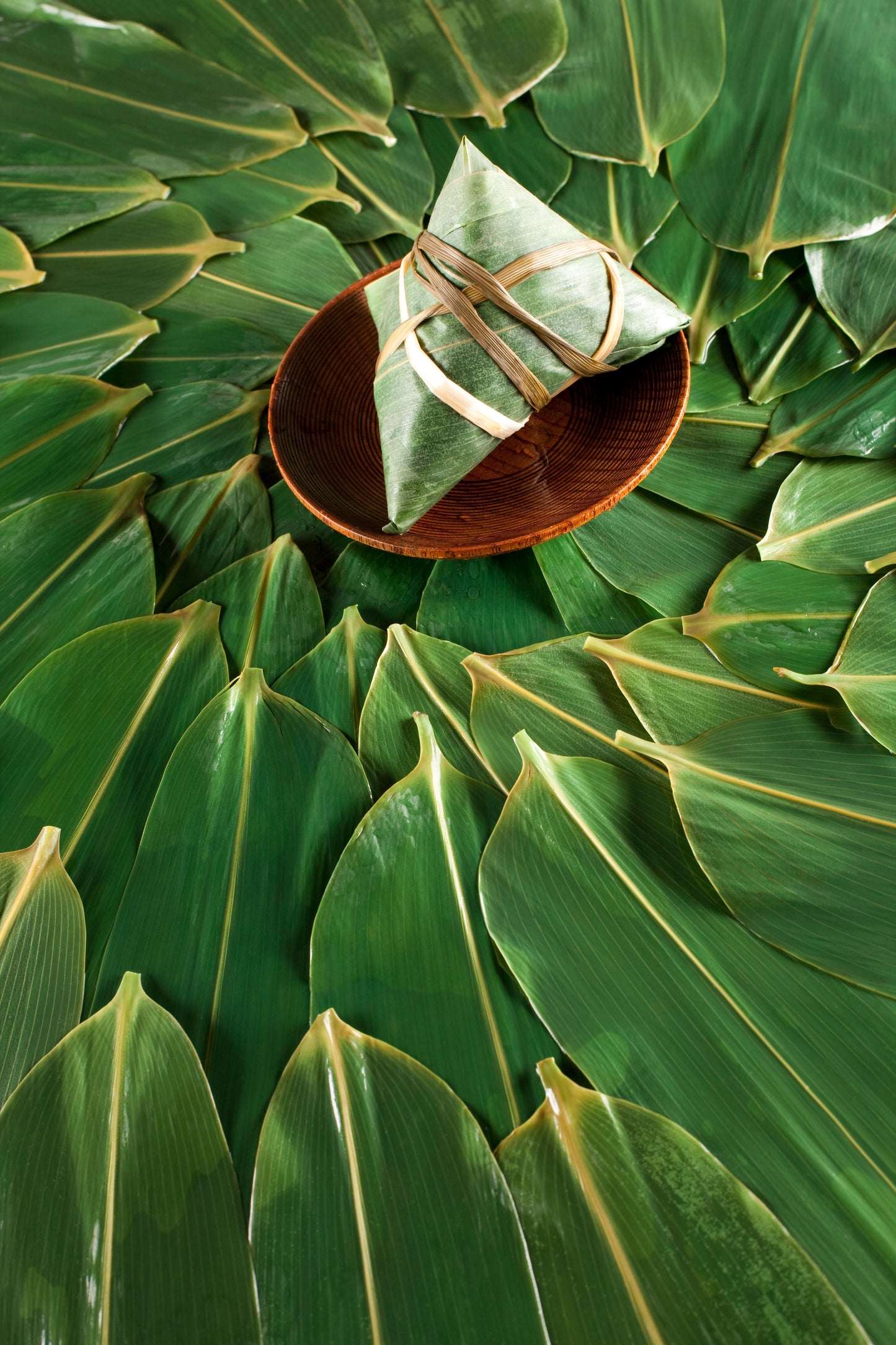 Banana Leaves