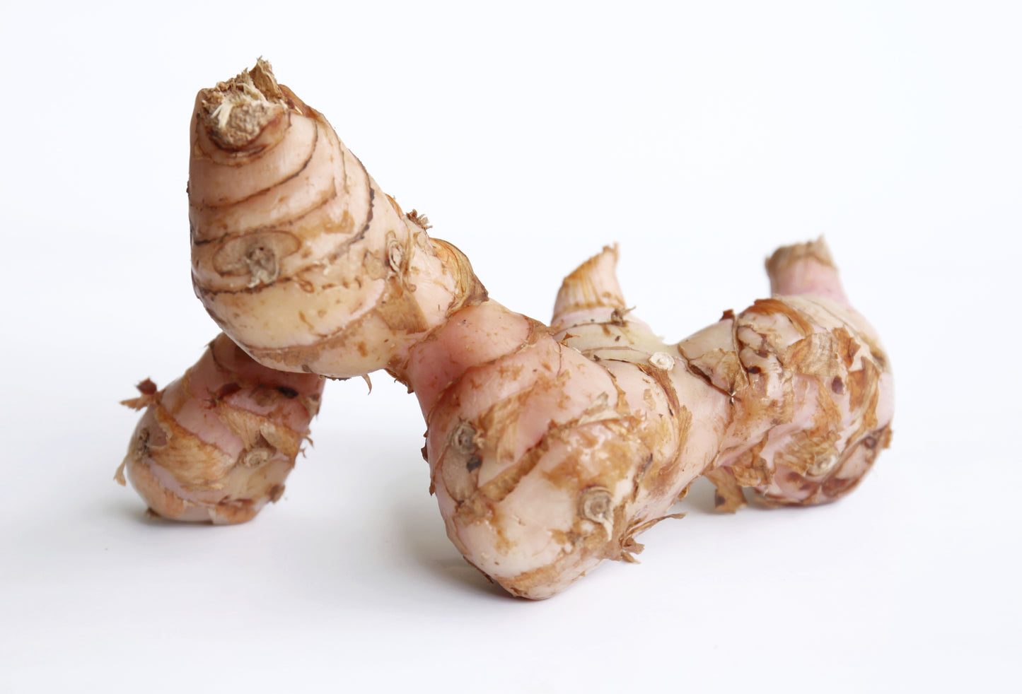 Galangal