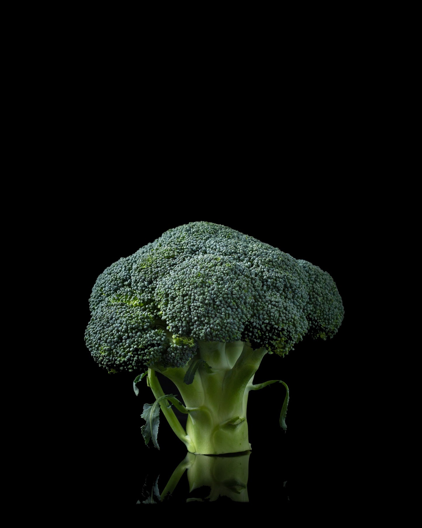 Broccoli