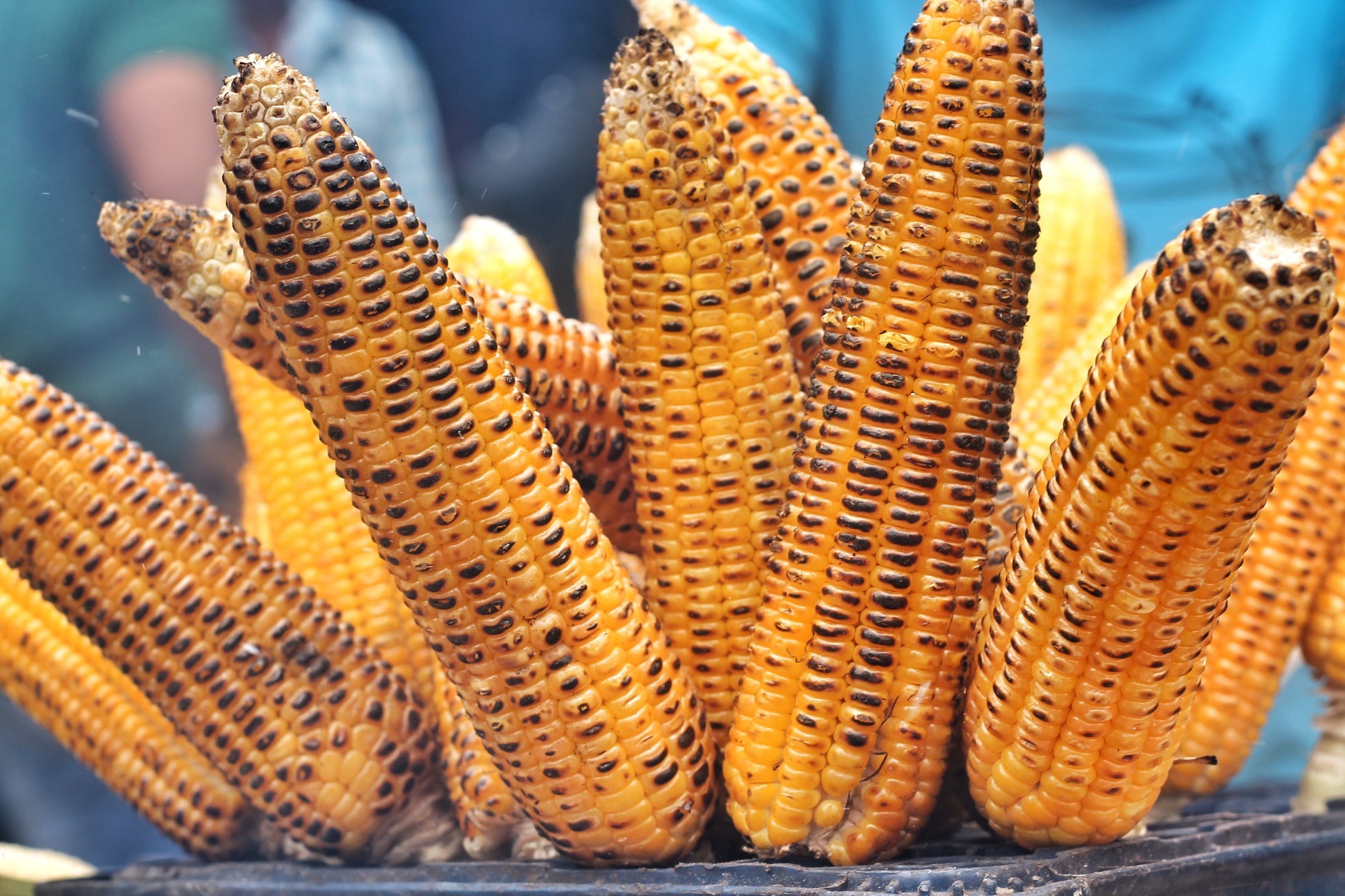 Corn on the Cob