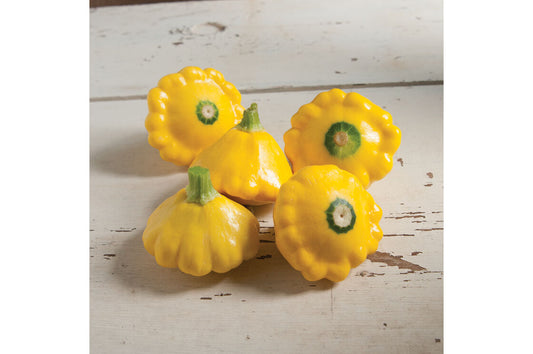 Squash - Patty Pan Yellow