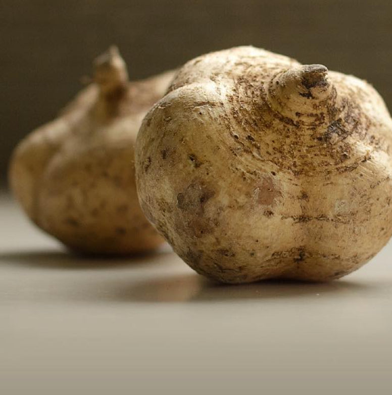 Yam Bean