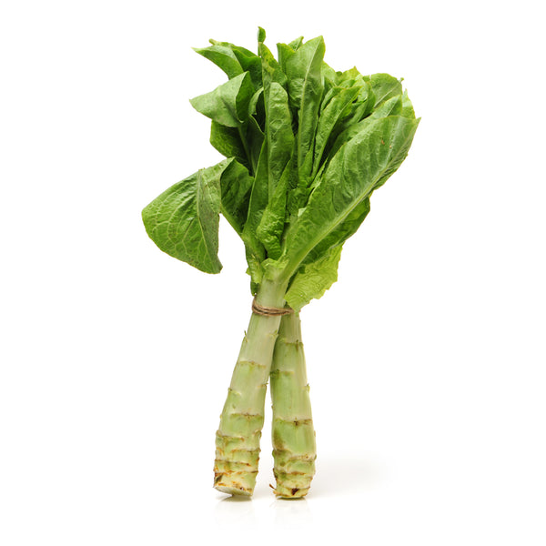 Celtuce