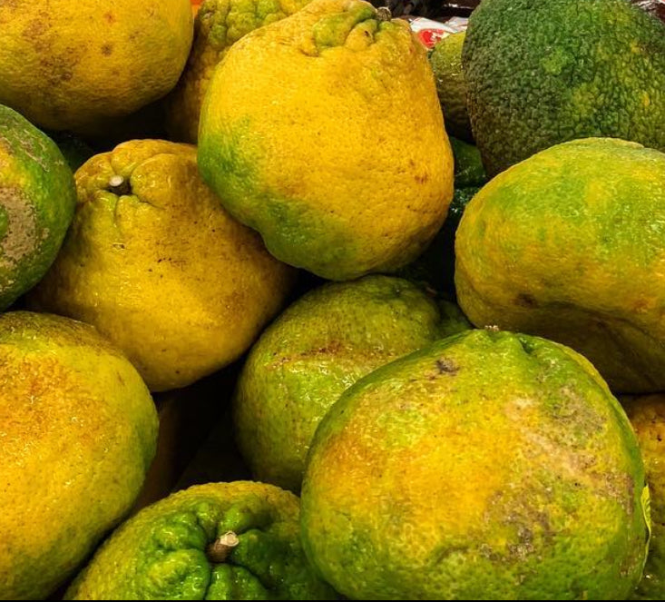 Ugli Fruit