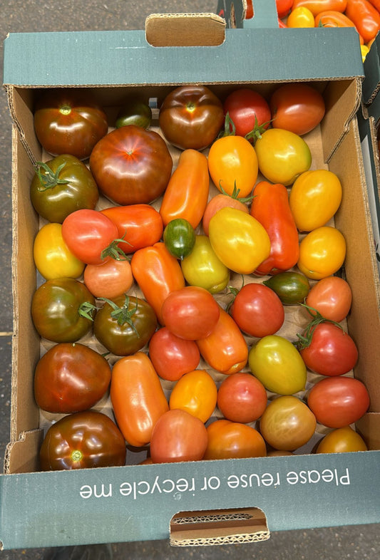 English Heritage Tomato (Westlands)