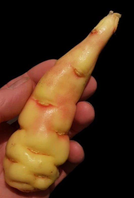 Nasturium root