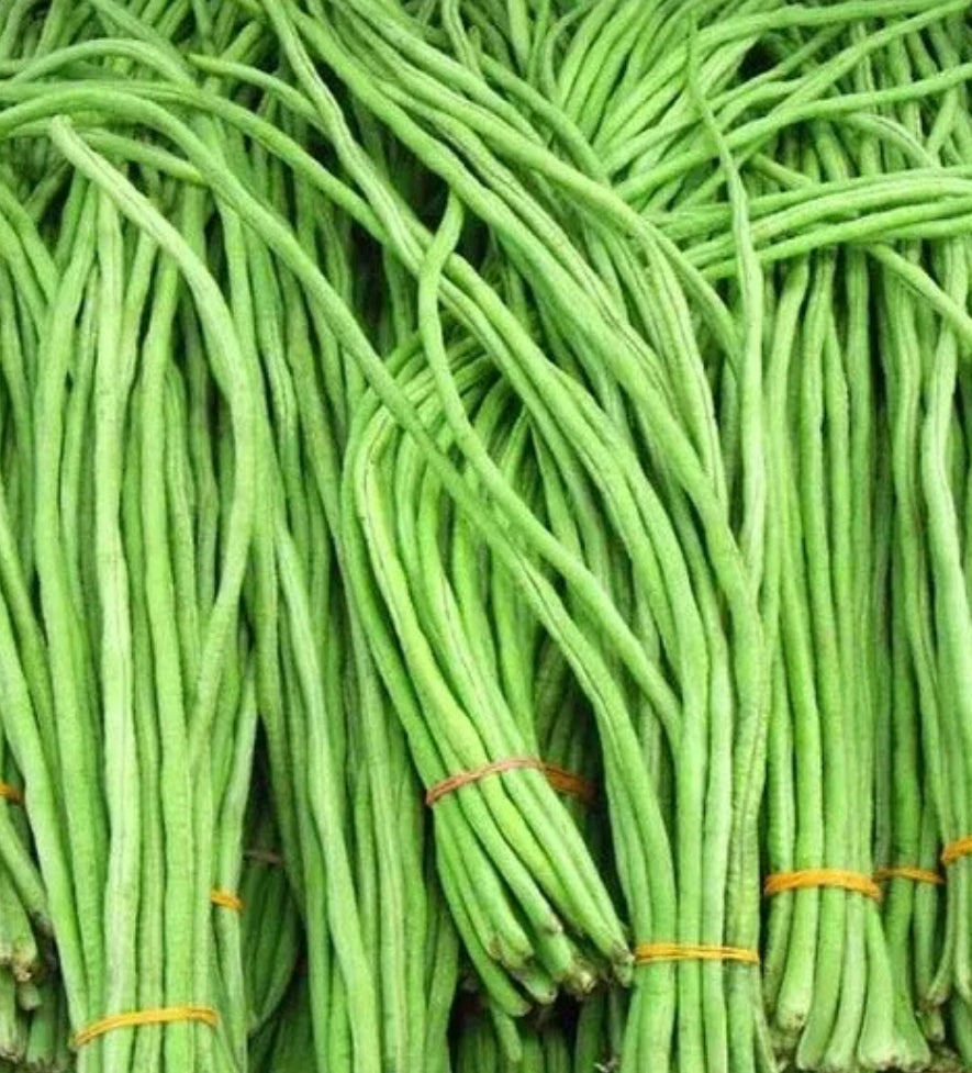 Indian Green Long Beans