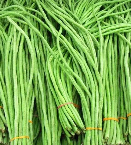 Indian Green Long Beans