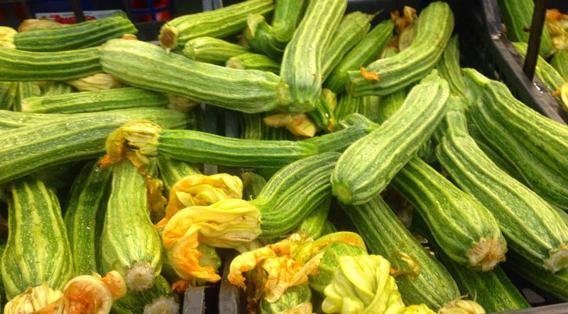 Roman Courgette