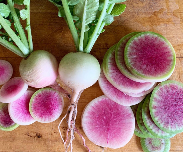 Radish - Watermelon