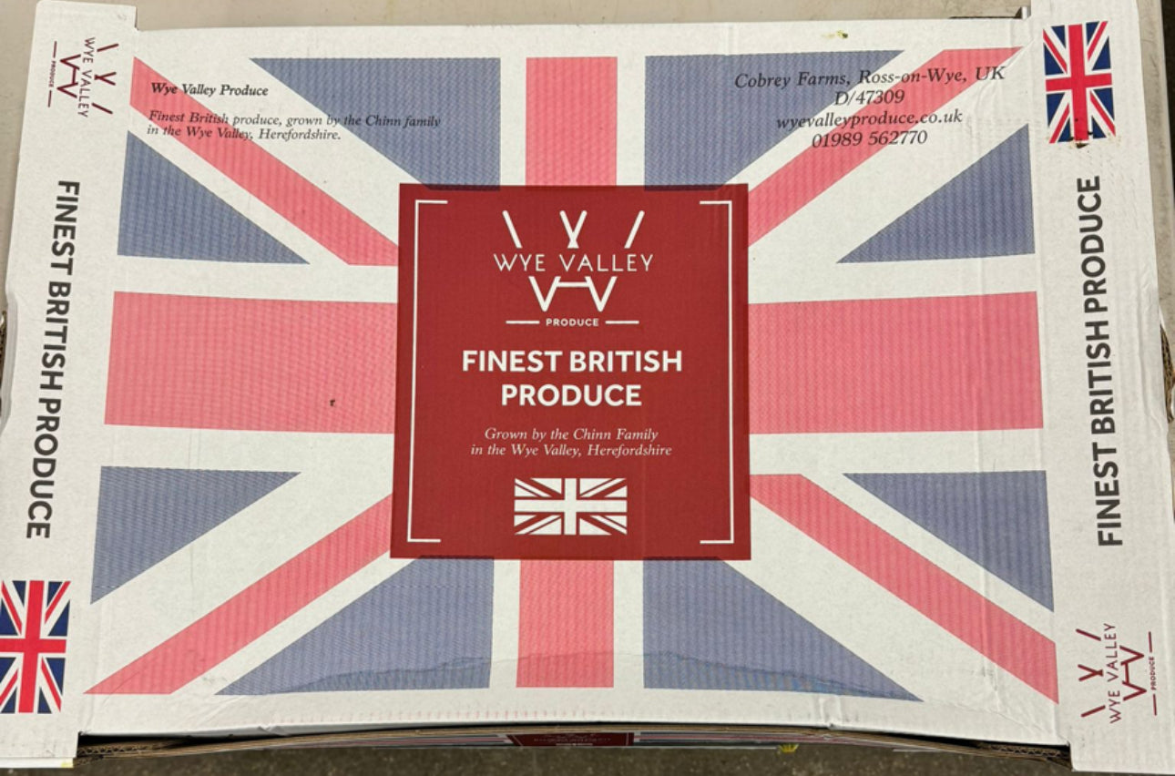 Forced Rhubarb
