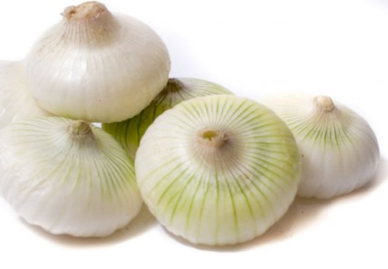 Onions - Flat White