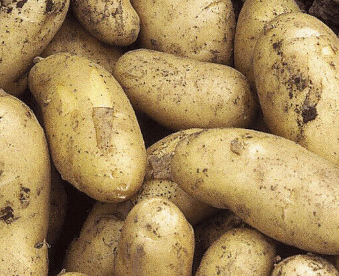 Potatoes - Charlotte