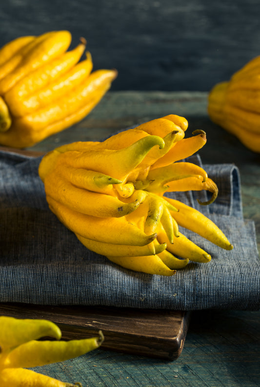 Lemon Buddha Hands
