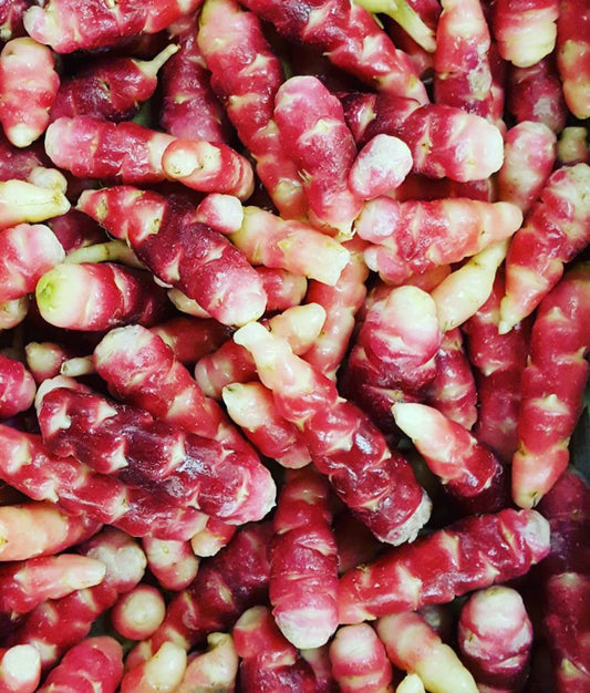 Oca du Perou