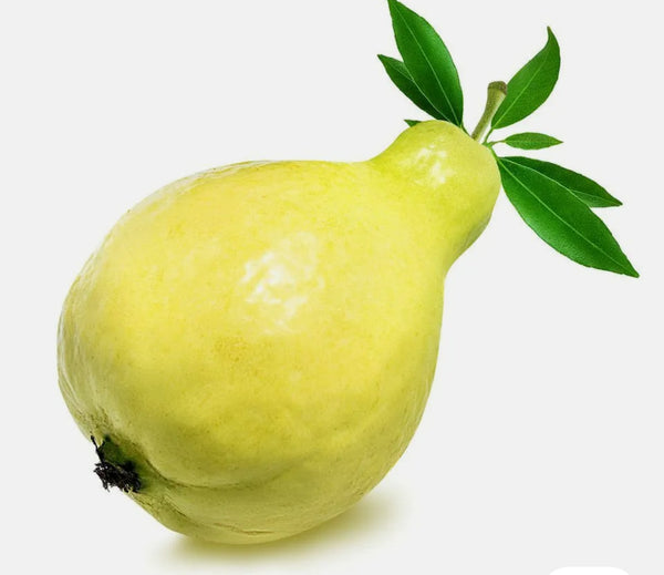 Egyptian Guava