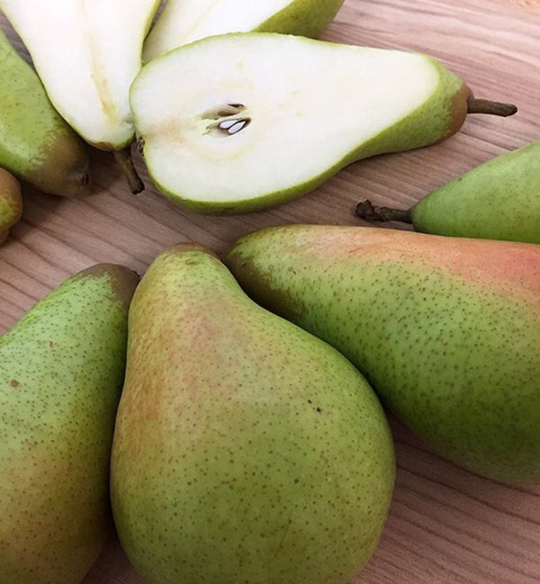 Pears - Abate